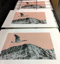 Image 5 of Wednesday eve. 5 x 3 hr. classes. 19th. Nov - 17th. Dec.- 5th. 2025 £190.00