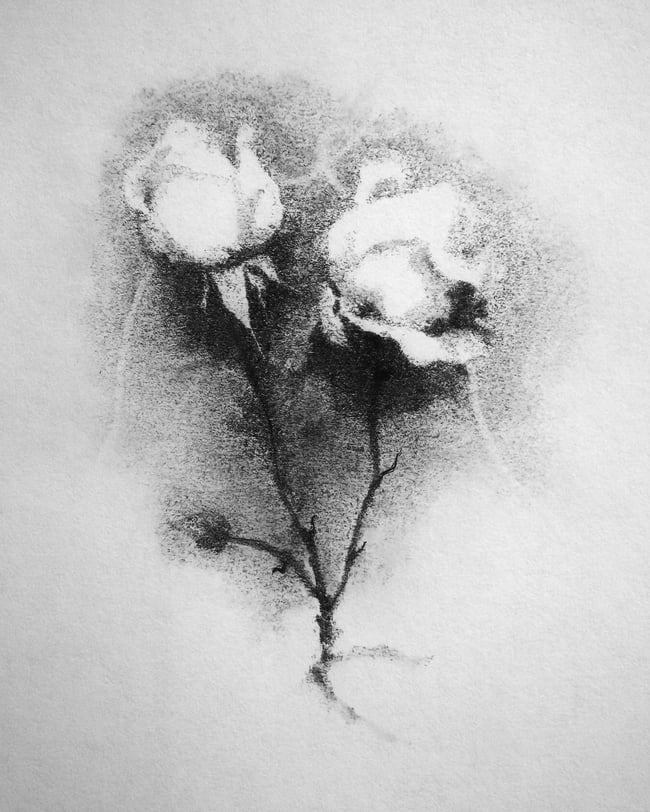 We're the Last Ones Left