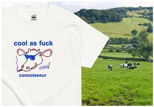 Image of COOL AS.