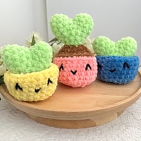 Image 1 of Crochet Hoya Plant Pop Fidget Toy