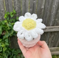 Image 2 of Sunflower and Daisy Potted Plant Plushies | Plush Fidget Toy | ADHD Plushie | Sensory Toys | Plan...