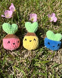 Image 3 of Crochet Hoya Plant Pop Fidget Toy