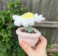 Image 3 of Sunflower and Daisy Potted Plant Plushies | Plush Fidget Toy | ADHD Plushie | Sensory Toys | Plan...
