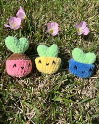 Image 5 of Crochet Hoya Plant Pop Fidget Toy