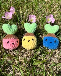 Image 6 of Crochet Hoya Plant Pop Fidget Toy