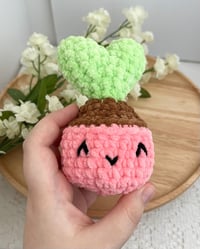 Image 10 of Crochet Hoya Plant Pop Fidget Toy