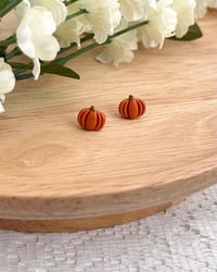 Image 5 of Fall Cottagecore Stud Earrings