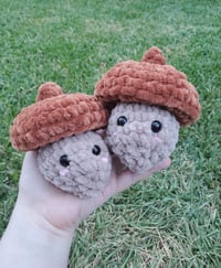Image 1 of Acorn Pop Plush Fidget Toy | Quiet Fidget ADHD Plushie 
