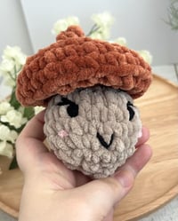 Image 4 of Acorn Pop Plush Fidget Toy | Quiet Fidget ADHD Plushie 
