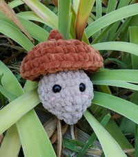 Image 8 of Acorn Pop Plush Fidget Toy | Quiet Fidget ADHD Plushie 