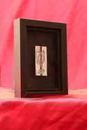 GHOST TICKET BOX 03