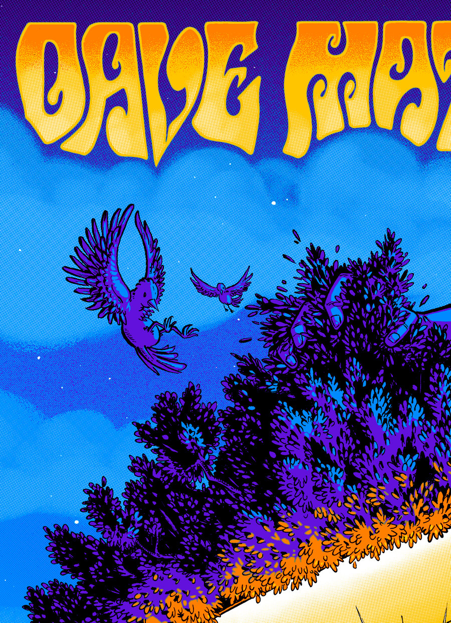 Image of Dave Matthews Band - Lake Tahoe 2025