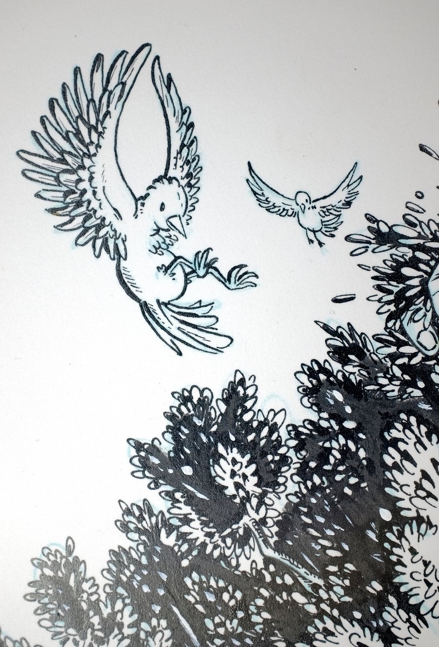 Image of Original Ink Drawing - DMB Lake Tahoe '25