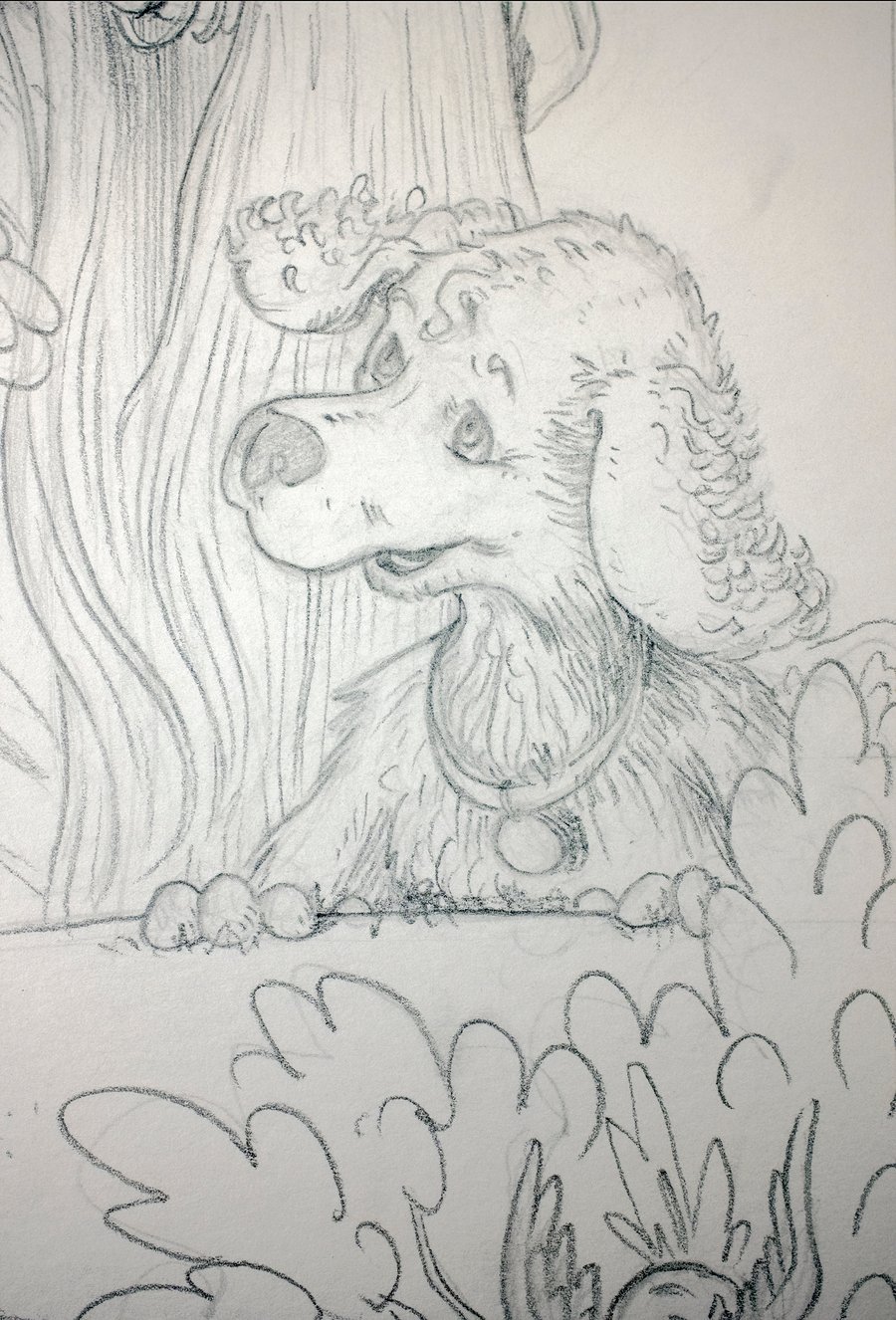 Image of Original Pencil Drawing - DMB Lake Tahoe '25