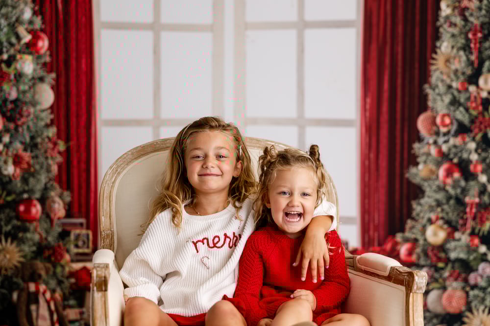 Image of Santa Mini Sessions