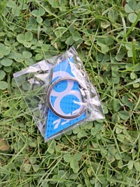 Image 1 of Pilotlocker B737-800 Tail Keyring