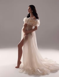 Image 12 of Noor Gown