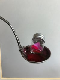 Image 4 of Spoon-fed Beauty Series No. 32