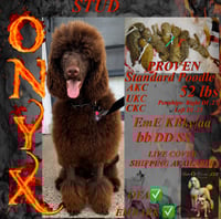 Onyx Stud Service