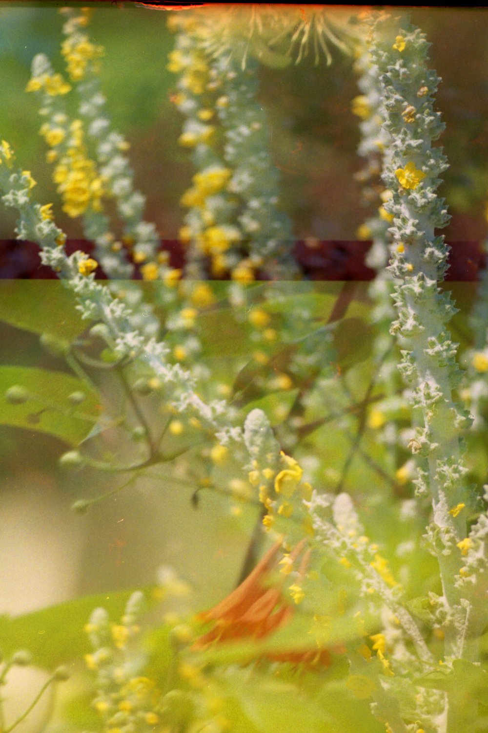 Image of Just For A Moment III.