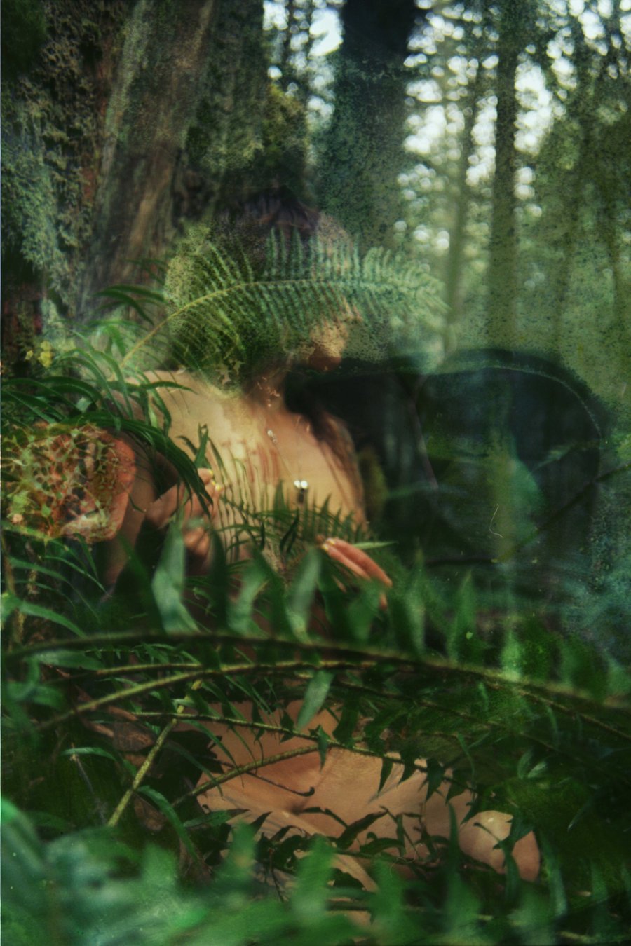 Image of A Casual Dialog About Mycology.