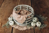 Image 1 of Set with pumpkins