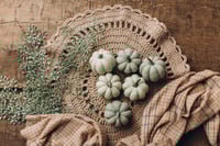 Image 3 of Set with pumpkins