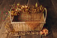 Image 3 of Taste of the Autumn Garden