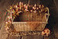 Image 2 of Taste of the Autumn Garden