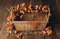 Image 1 of Taste of the Autumn Garden