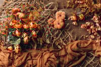 Image 4 of Taste of the Autumn Garden
