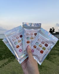 Image 1 of Animal Sandwich Blind Bag | Holographic Keychain