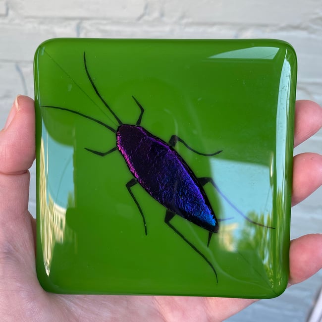 Stained Glass Cockroach Coasters - Set of 2