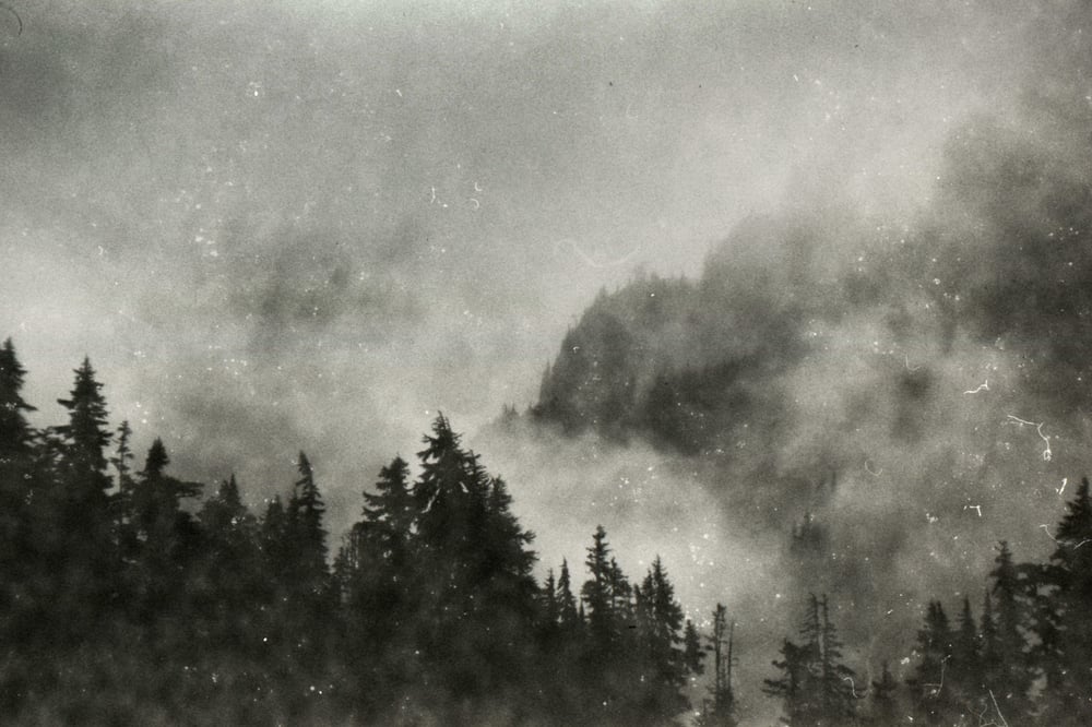 Image of Low Vibration/ High Fringe I.