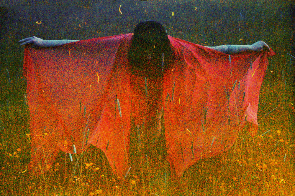 Image of Ghost Dancer III.