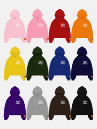 Image 2 of GIRLS ARE DRUGS® HOODIES - MYSTERY