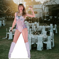 Image 1 of Taylor - Celebrity, Star, Life Size, Cardboard Cutouts, Waterproof, Corrugated Plastic - Style-D