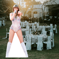 Image 3 of Taylor - Celebrity, Star, Life Size, Cardboard Cutouts, Waterproof, Corrugated Plastic - Style-D
