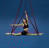 Image 1 of Aerial Body Loops (2" wide)