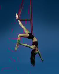 Image 1 of Narrow Aerial Body Loops (1.5" wide)