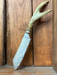 Image 3 of Deer Antler Cumai