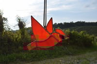 Image 3 of Cardinal