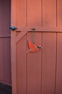 Image 5 of Cardinal