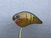 Image 1 of SPEEDBAITS Custom Airbrushed S-CRANK 1.5 Squarebill Crankbait