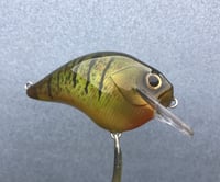 Image 2 of SPEEDBAITS Custom Airbrushed S-CRANK 1.5 Squarebill Crankbait