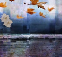 Image 5 of 'Fall Floating'