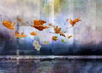 Image 1 of 'Fall Floating'