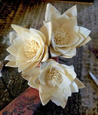 Image 5 of Rustic Water Lily Floral Reed Diffuser