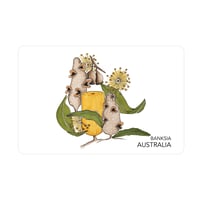 Australian souvenir magnet - Banksia