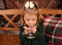 Image 3 of Christmas Snow Mini's (NO SANTA)